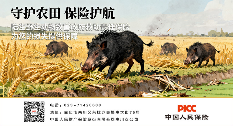 中国人保陆生野生动物致害政府救助责任保险：生态保护下的民生 “防护盾”！